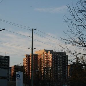 Meet your Posher, Simone